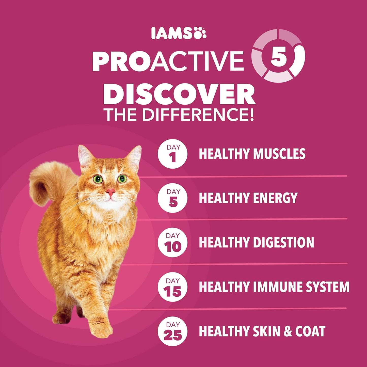 PROACTIVE HEALTH Adult Urinary Tract Health Dry Cat Food, Chicken Recipe
