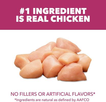 PROACTIVE HEALTH Adult Urinary Tract Health Dry Cat Food, Chicken Recipe